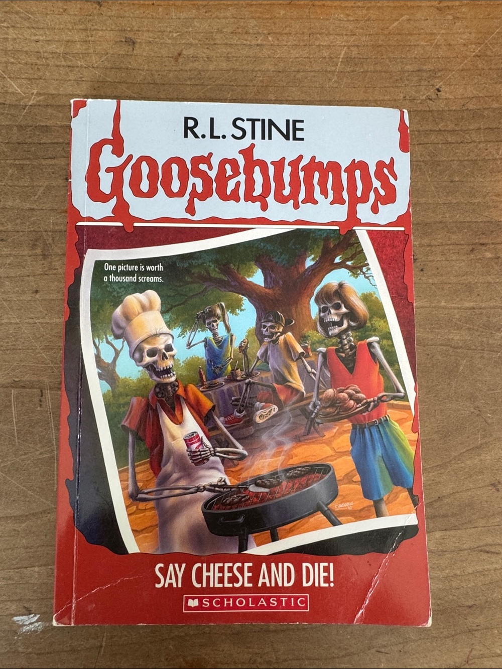 Vintage Goosebumps book series : say cheese and die! - vintage 2015